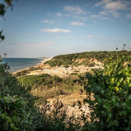 Bed and Breakfast Vacationers Refuge Анціо Екстер'єр фото