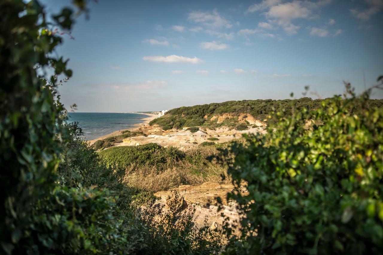 Bed and Breakfast Vacationers Refuge Анціо Екстер'єр фото
